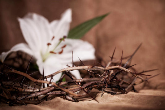 You Can Start Again - A Message of Grace