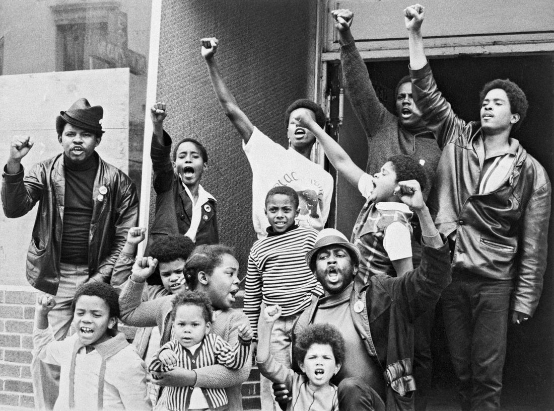 The Black Panthers Were More Than a Symbol of Resistance