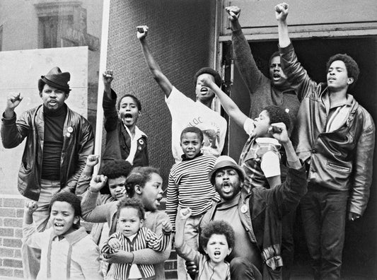 The Black Panthers Were More Than a Symbol of Resistance