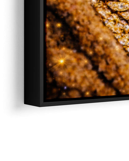 Black King - Strength, Style, and Confidence - Poster/Canvas